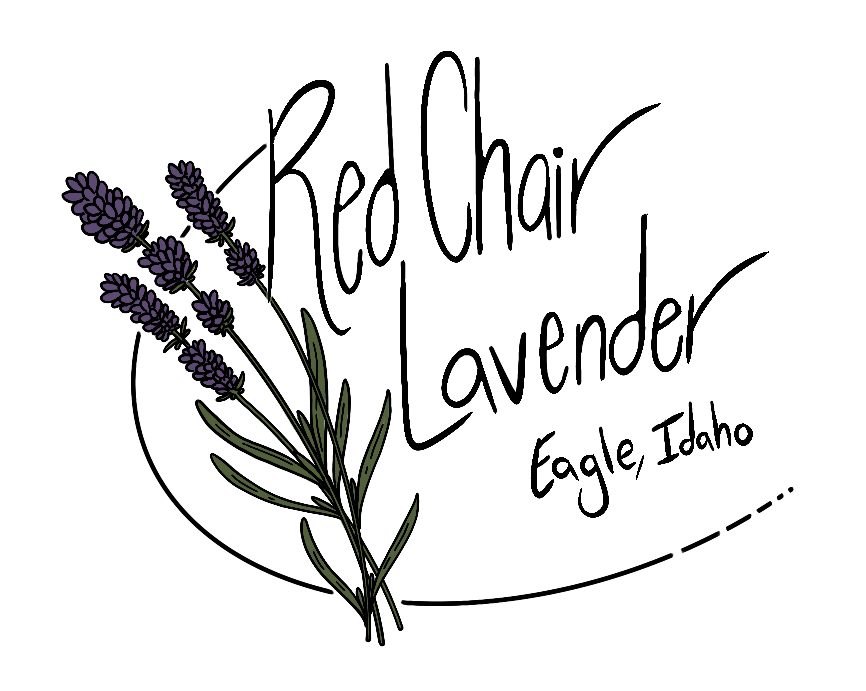 Home Red Chair Lavender